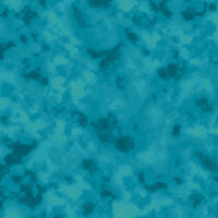 CR4000 CR4000-167