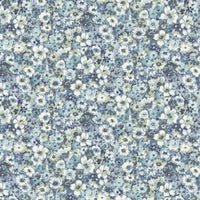 AP62803 AP62803-2D