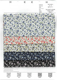 7027-620 7027-620-COVER-p2