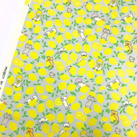 KDP143 KDP143-COVER