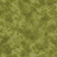 CR4000 CR4000-253