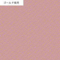 AP55806 AP55806-1B