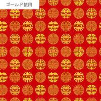AP55806 AP55806-2B