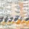 7027-620 7027-620-1-A