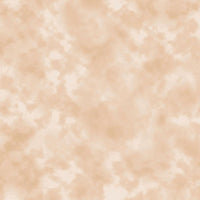CR4000 CR4000-10
