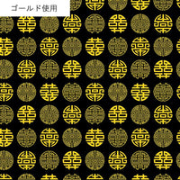 AP55806 AP55806-2E