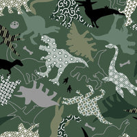 AP62108 AP62108-2C