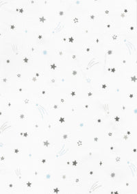 YP-71060 YP-71060-2C