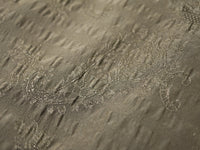 KKF8583-W-1 KKF8583-W-1-TEX2