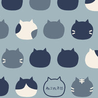 AP1070 AP1070-2C