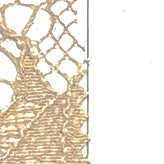 KKF8380-W-1 KKF8380-W-1-81