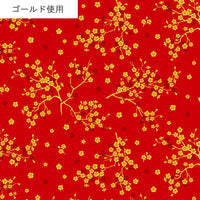 AP55806 AP55806-3B