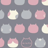 AP1070 AP1070-2D