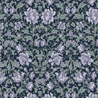 AP55808 AP55808-4E