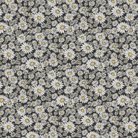 AP62802 AP62802-2F