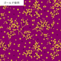AP55806 AP55806-3C