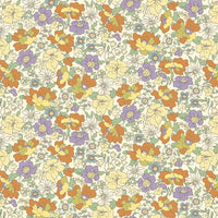 AP55808 AP55808-1C