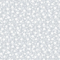 AP4860 AP4860-2C