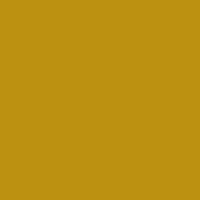 BC13466-C BC13466-C-301