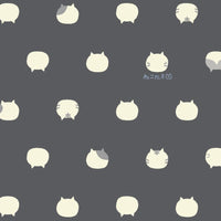 AP1070 AP1070-1E