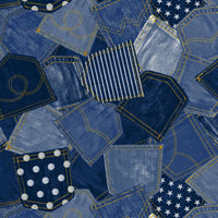 AP25501 AP25501-19C