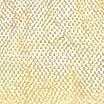 KKF2404CR KKF2404CR-5