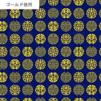 AP55806 AP55806-2D