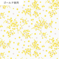 AP55806 AP55806-3A