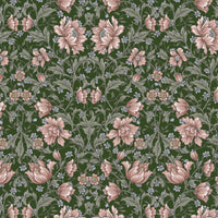 AP55808 AP55808-4C