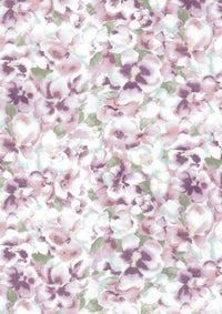 YP-71050 YP-71050-1B