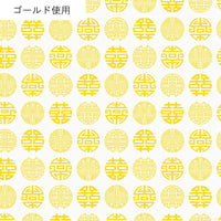AP55806 AP55806-2A
