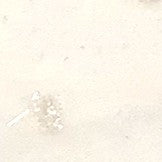 KKF2855 KKF2855-1