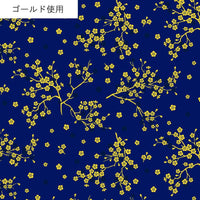 AP55806 AP55806-3D