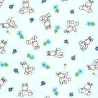 KTS6902 KTS6902-C1