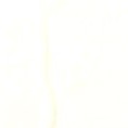 KKF1324-W-2 KKF1324-W-2-11