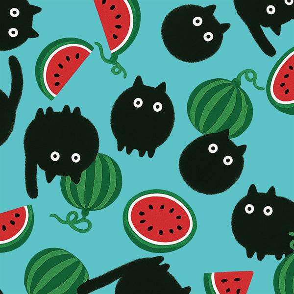 夏の黒ねこ