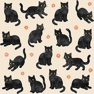 黒猫