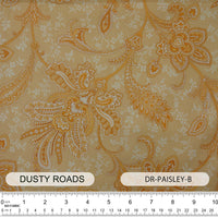 DR-PAISLEY DR-PAISLEY-B