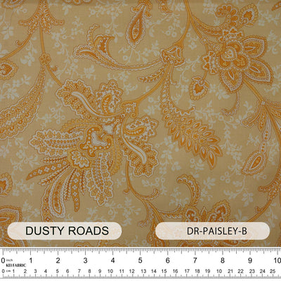 DR-PAISLEY