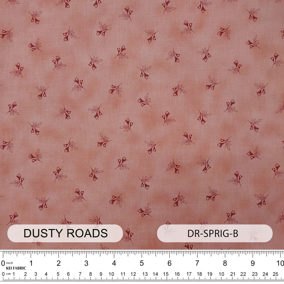 DR-SPRIG