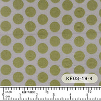 KF03-19 KF03-19-4