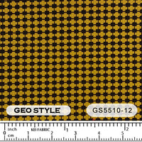 GS5510 GS5510-12