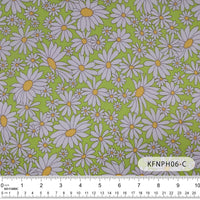 KFNPH06 Fortune Love KFNPH06フォーチュンラブ-C