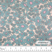 KFNPH06 Fortune Love KFNPH06フォーチュンラブ-F