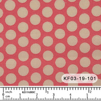 KF03-19 KF03-19-101