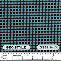 GS5510 GS5510-13