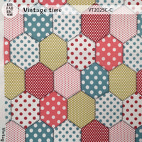VT2025C VT2025C-C