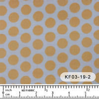 KF03-19 KF03-19-2