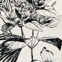 KKP3338-99 KKP3338-99-B