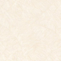 KKF3310-W-5Y KKF3310-W-5Y-21